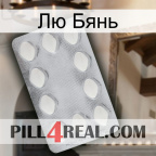 Лю Бянь 16